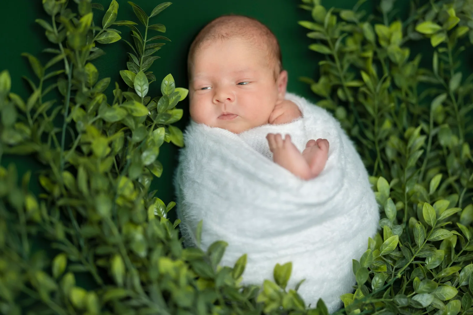 How to prepare for a newborn session.